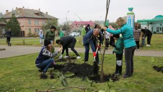 В Ставрополе высадили более 250 новых деревьев