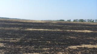 Пожарные борются с последствиями выжигания стерни на ставропольских полях