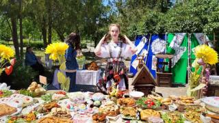 Первый открытый фестиваль национальных культур пройдёт в Апанасенковском округе