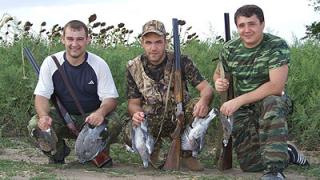 На Ставрополье открыт охотничий сезон на перепела и голубей