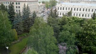 Ставропольские леса. Какие они?