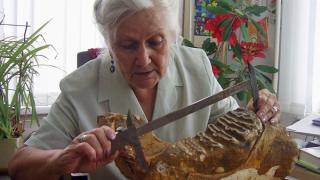 Зуб древнего слона, обитателя Ставрополья, найден в краевом музее