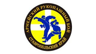 Более 80 спортсменов состязались в турнире по армейскому рукопашному бою в Михайловске