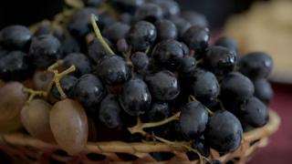 Ставропольские виноградари готовятся к весенне-летнему сезону