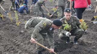 В Ставрополе высажен новый «Кадетский лес»