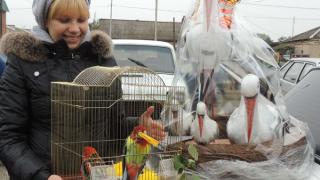 Выставка декоративных птиц прошла в Апанасенковском районе