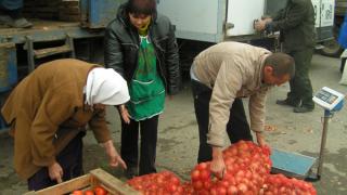В Кочубеевском районе увеличивается производство овощной продукции