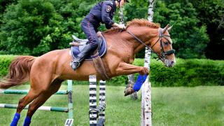 В Ставрополе прошло личное первенство по конному спорту