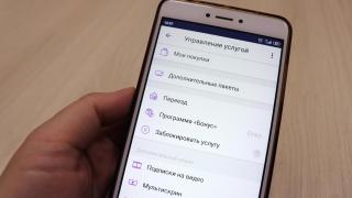 Онлайн-самообслуживание предпочитают ставропольские интернет-пользователи