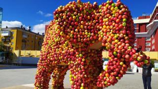 10 килограммов фруктов «пожертвовали» гандболисты для яблочного слона