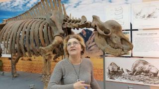 Как называть древнего носорога и что с ним случилось 700 тысяч лет назад?