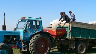 Чем обернётся для аграриев Ставрополья подорожание удобрений