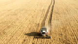 Первые 100 тысяч тонн зерновых собраны в Ставропольском крае