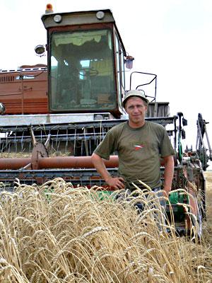Уборка зерна уже почти закончена в СПК «Путь Ленина»