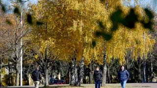 Золотую осень на Ставрополье сменяют холодные дожди и ветер