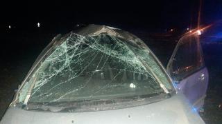 На Ставрополье водитель погиб при опрокидывании автомобиля