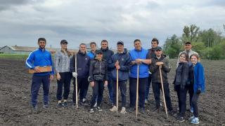 Студенты-агрономы Ставрополья разработали проект по импортозамещению 
