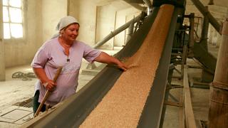 Увеличился спрос на зерно с Юга России