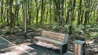 В Ставрополе установили скамейки на новой лесной дорожке