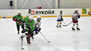 В Будённовске отметили День зимних видов спорта красочным ледовым шоу
