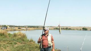 500 кг рыбы выудили на Кубке Ставрополья по спортивной ловле карпа