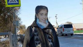 Картонную девочку на переходе у школы в Дивном утеплили кофтой