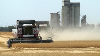 Засуха стала причиной роста цен на зерно