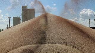 Ставропольский край первым в России взял рубеж в один миллион тонн зерна