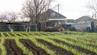 Дачники и садоводы Ставрополя готовятся к новому сезону: проблемы и заботы