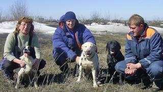 Как проходит тренировка собак ставропольского поисково-спасательного отряда МЧС