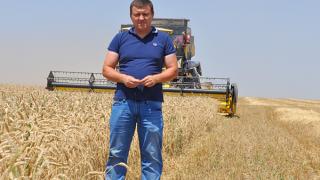 500 тысяч тонн зерна первыми на Ставрополье собрали хозяйства Буденновского района