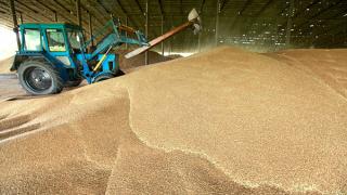Фермерские хозяйства в Ставропольском крае собрали более миллиона тонн зерна