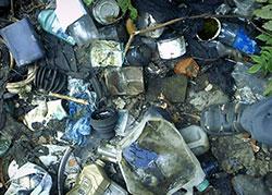 Избавить Ставрополье от мусора намерено Правительство края