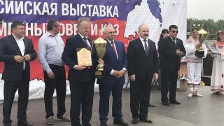 Ставропольцы взяли почти все призовые места на российской выставке овец