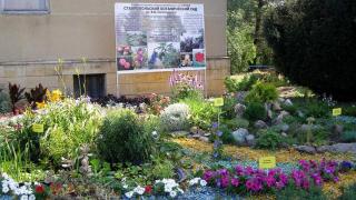 Ставропольский ботанический сад отмечает 60-летие и 110-летие основателя В. Скрипчинского