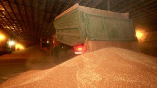 Ситуацию на зерновом рынке обсудили в отделении Национального союза зернопроизводителей края