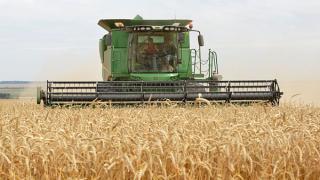 Ставропольские аграрии собрали 2,5 миллиона тонн зерна