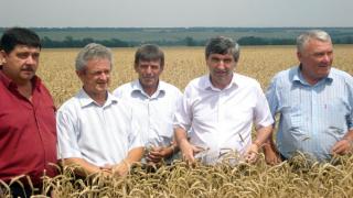 Более 15 процентов населения Ипатовского района работает в сельхозпредприятиях