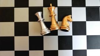 Ставропольский шахматист получил кубок от митрополита