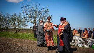 В Грачёвском районе прочли молебен перед закладкой виноградника