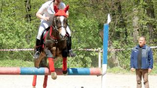 Конный спорт в Ставрополе: с Престижем приходит Триумф