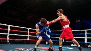 Ставропольские боксёры успешно выступили на всероссийских турнирах