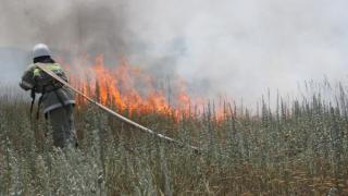 За неделю на Ставрополье произошло 40 пожаров с возгоранием сухостоя